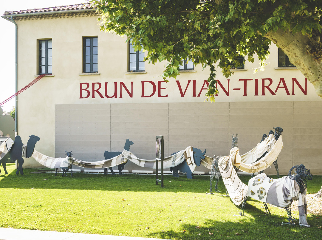 Musee La Filaventure - Brun de Vian-Tiran景点图片