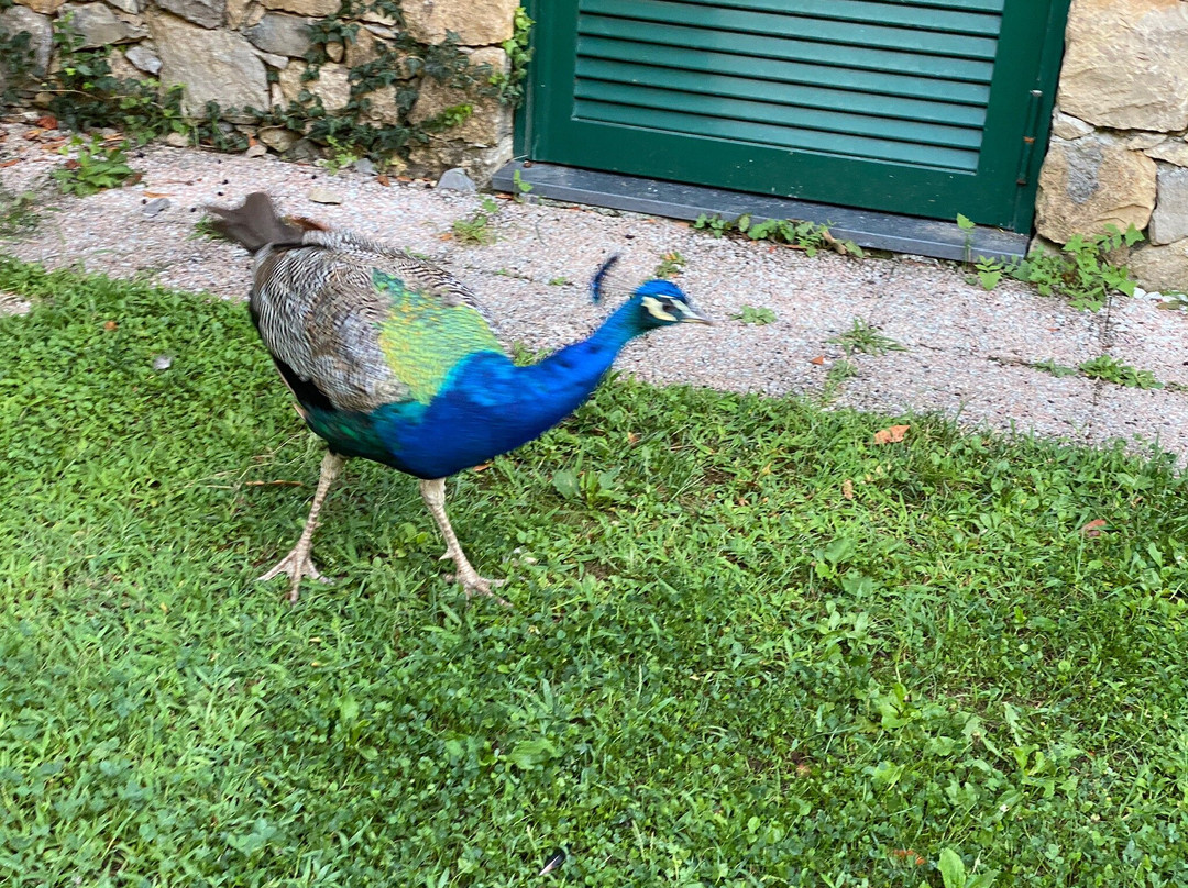 Relais del Golfo主图