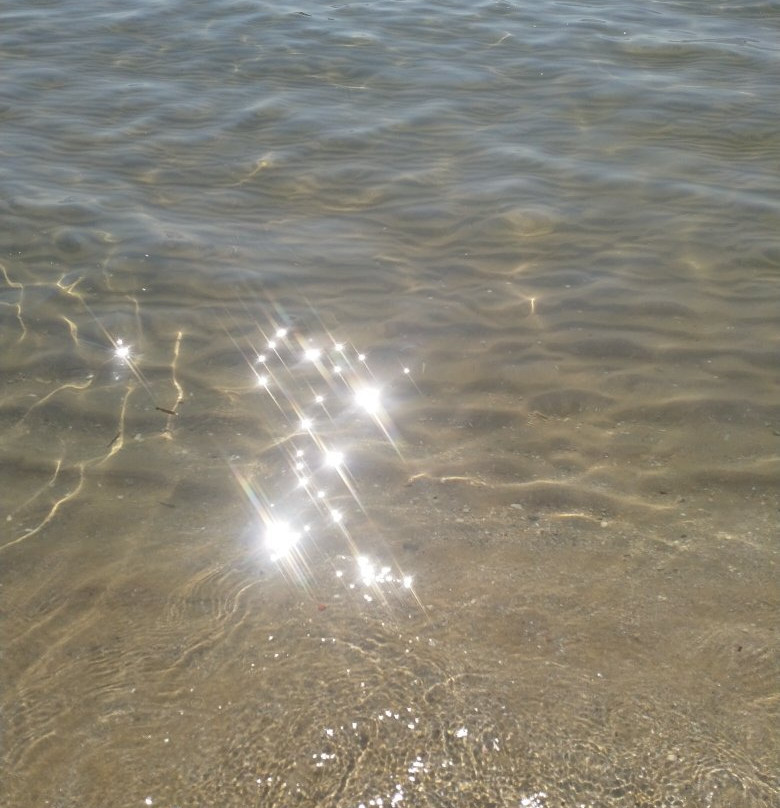 Stabilimento Balneare Lido Eden景点图片