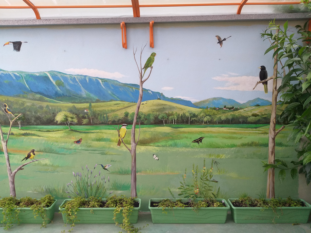 RM Ceramica Artistica-蒂拉登特斯必去景点