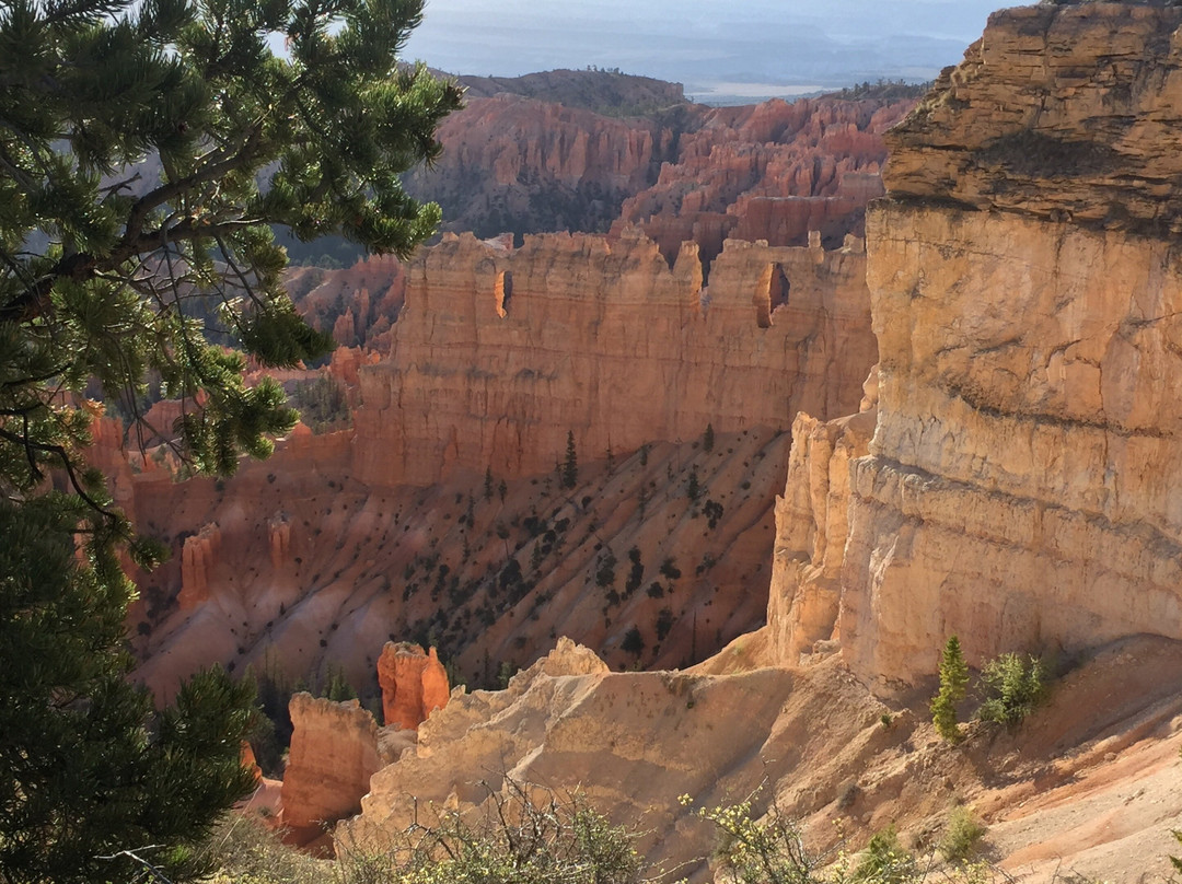 Canyon Fever Guides-布莱斯峡谷城必去景点