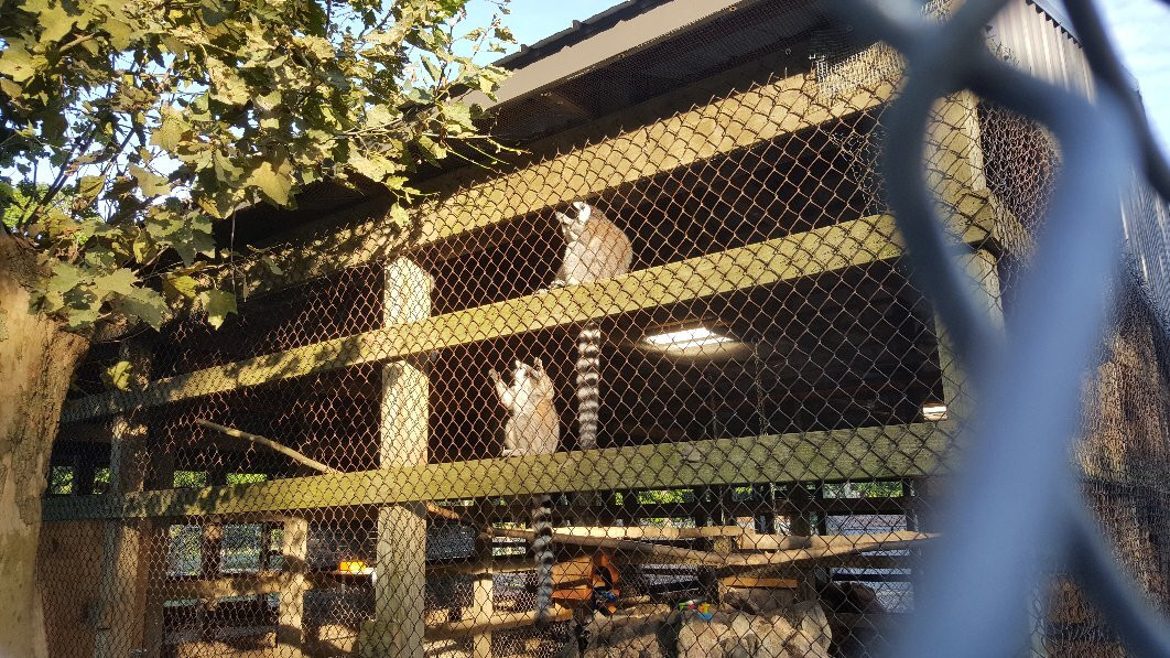 McClure's Orchard-Peru必去景点