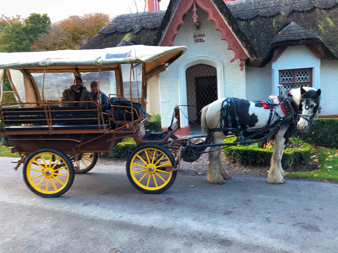 McCarthys Killarney Carriage Rides-基拉尼必去景点