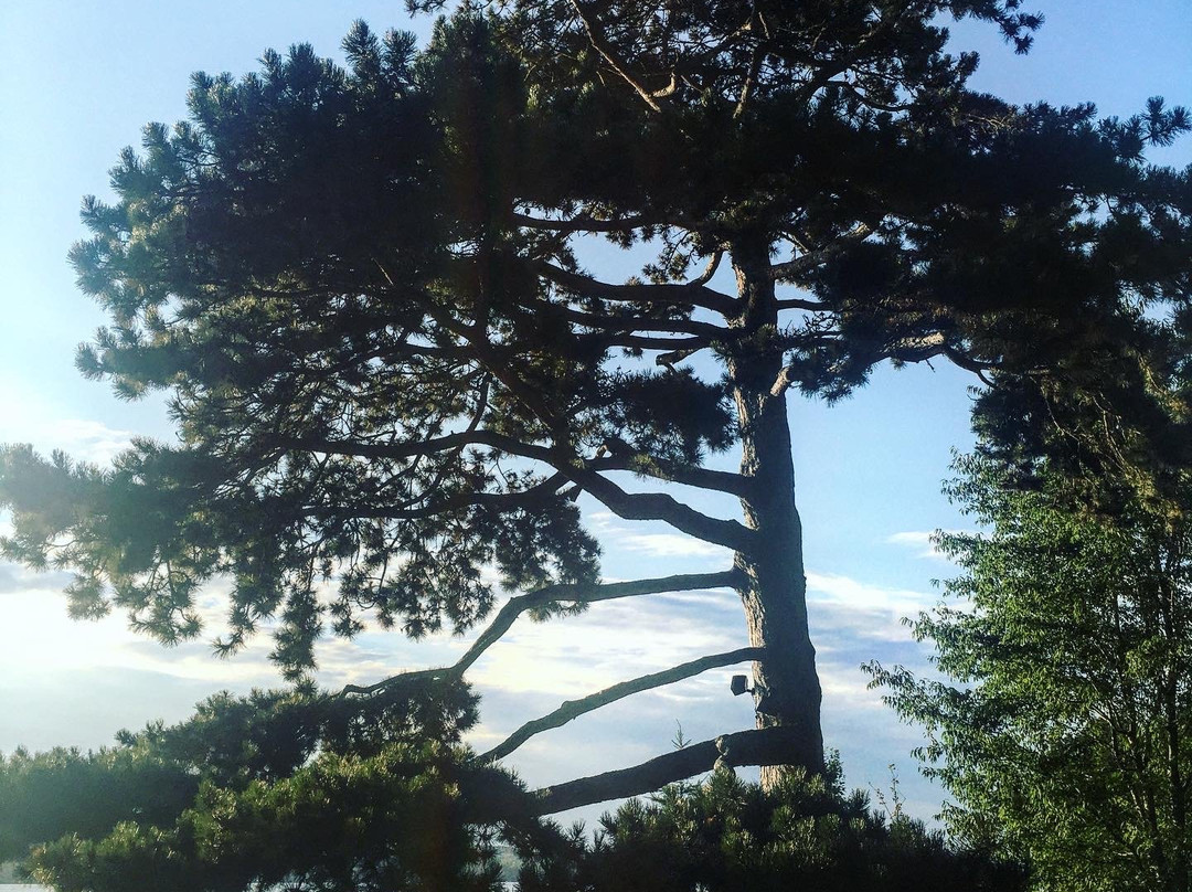 The Brewster Inn主图