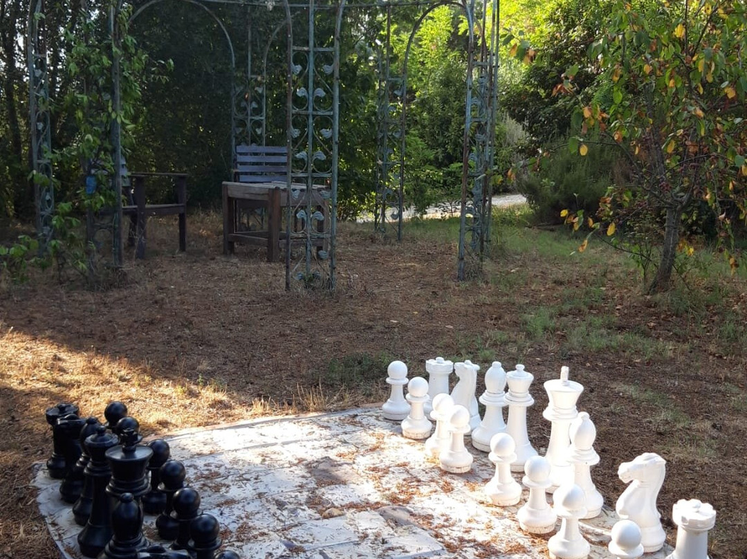 Al Giardino degli Etruschi主图