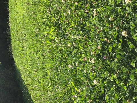 Thermalbad Aukammtal-威斯巴登必去景点