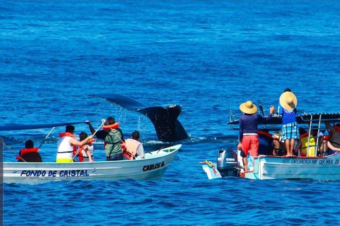 Reserva Guayabitos-Rincon de Guayabitos必去景点