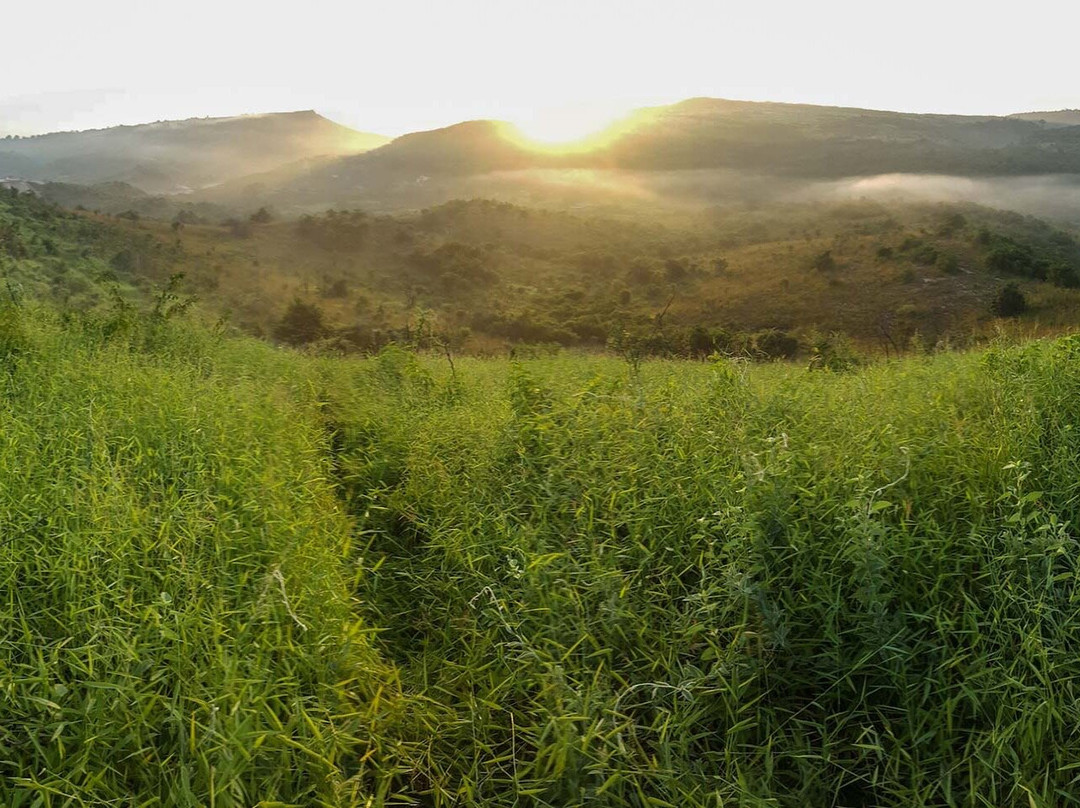 Pugu Hills Eco Cultural Tourism景点图片