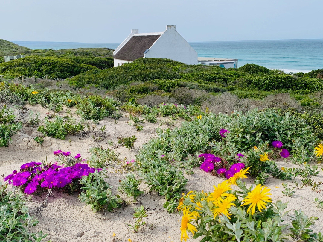 De Hoop Collection主图