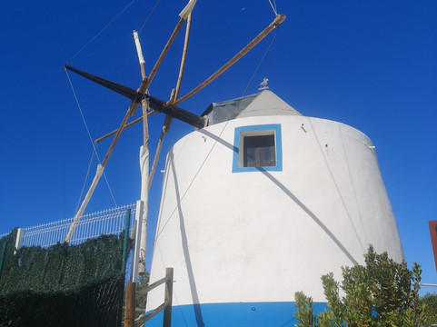 Zebra Safari Tours-阿尔布赞拉必去景点