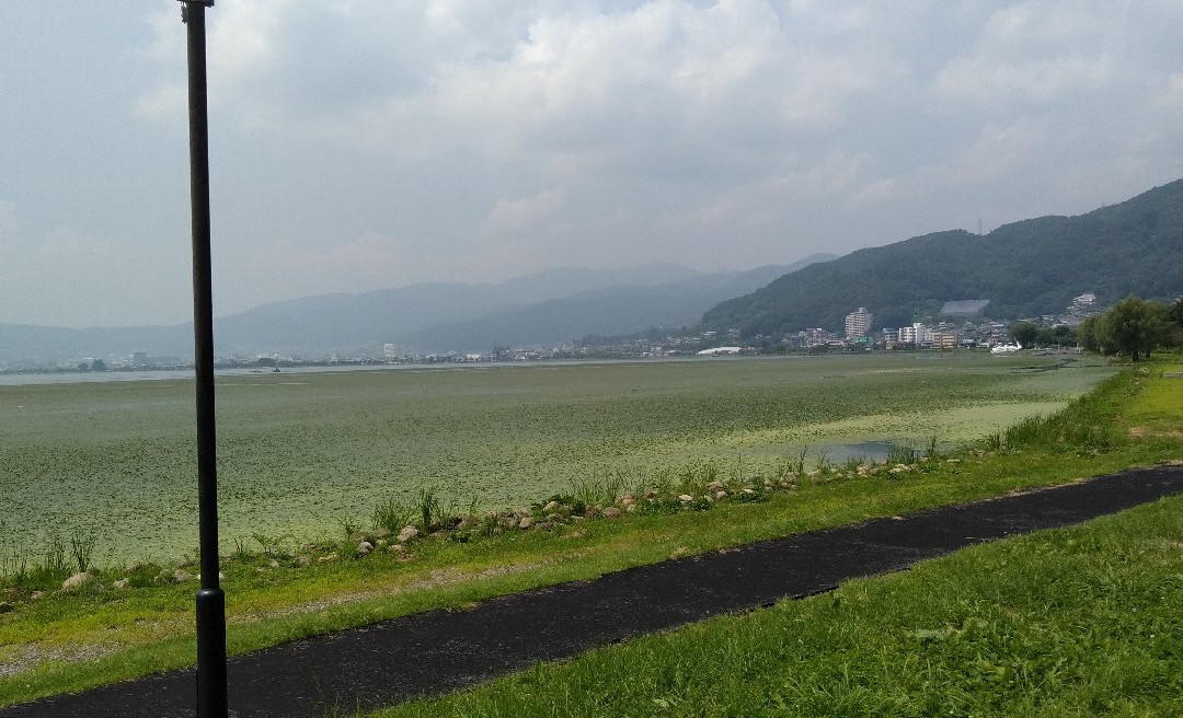 Suwa City Kohan Park景点图片