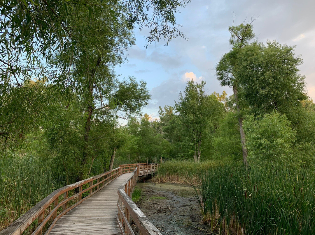 Billy Wilson Park-水牛城必去景点