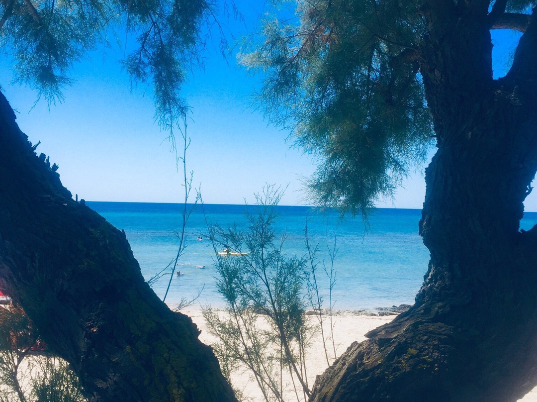 Torre dell'Ovo-Maruggio必去景点