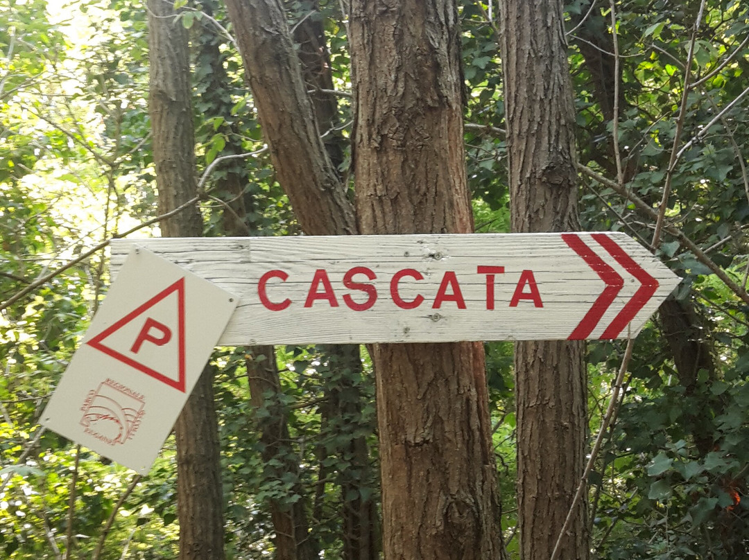 Cascata Schivanoia景点图片