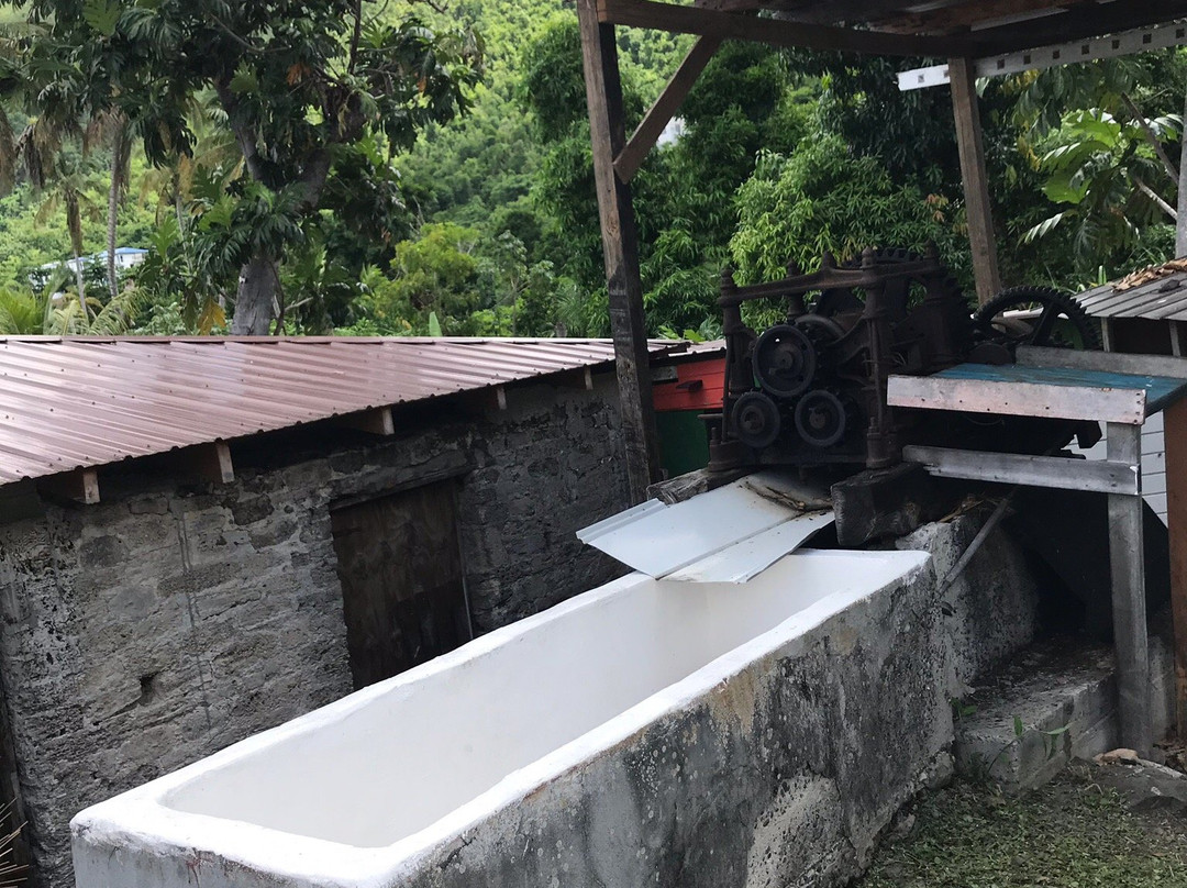 Callwood Rum Distillery-托土拉必去景点