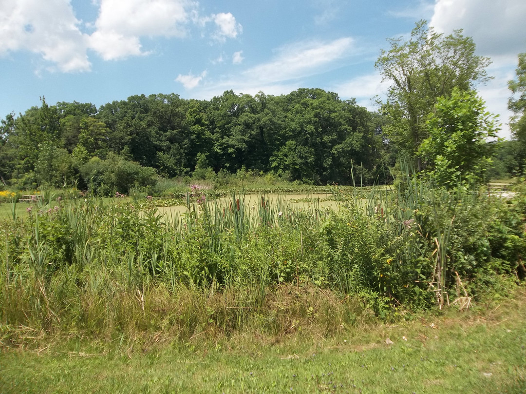 Red Mill County Park景点图片