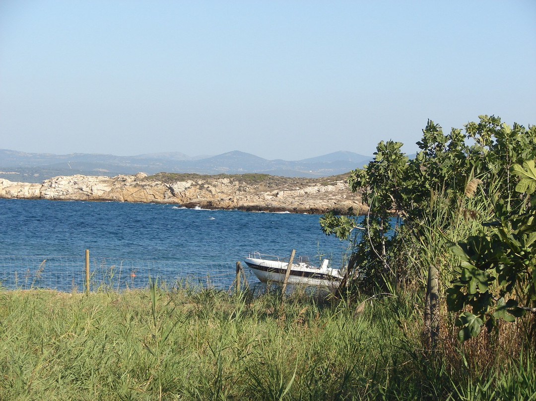 Neco Beach景点图片