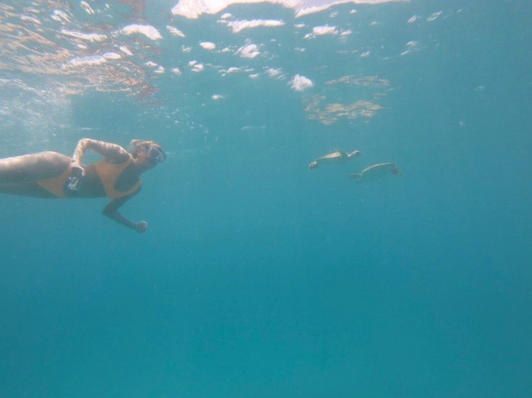 Team Baywatch Watersports-Holetown必去景点