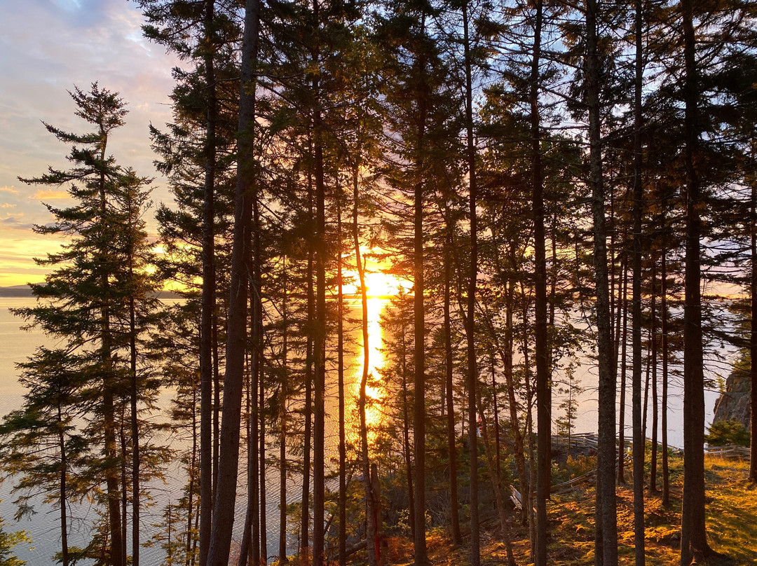 Inn at Bay Ledge主图