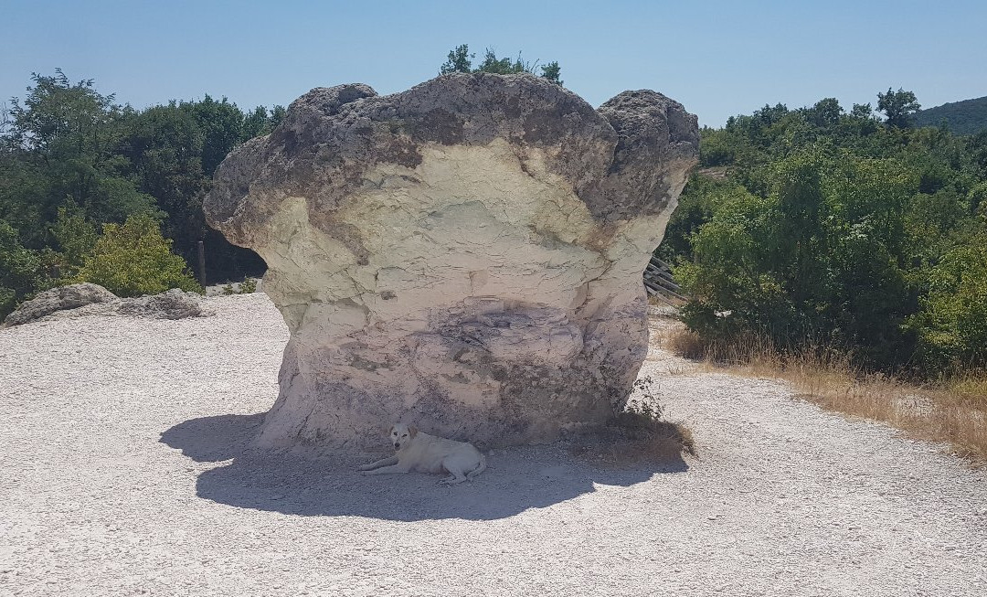 The Stone Mushrooms-Kardzhali必去景点