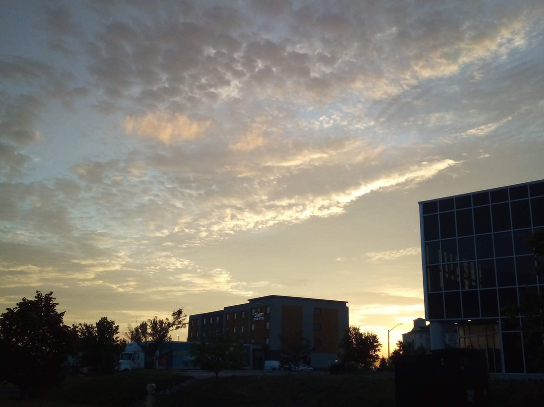 Quality Inn & Suites主图