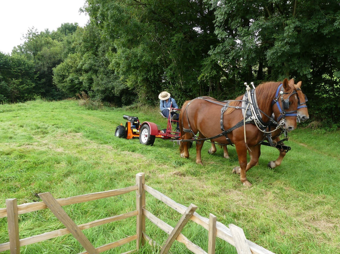 Middle Week Horse Drawn Farm景点图片