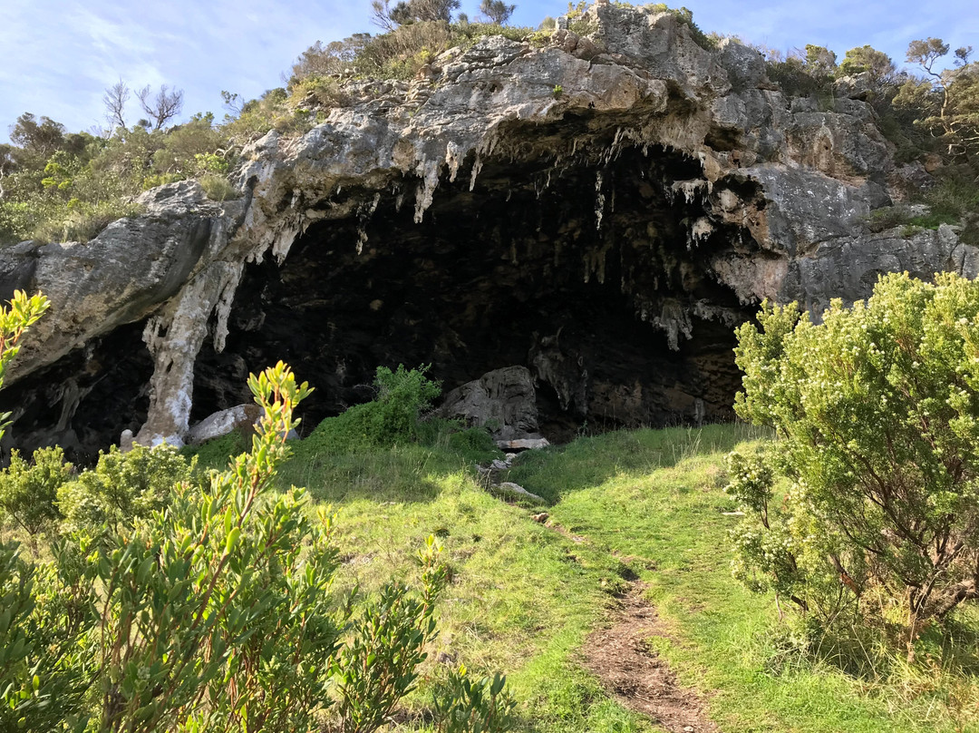 Tarragal Caves-Cape Bridgewater必去景点