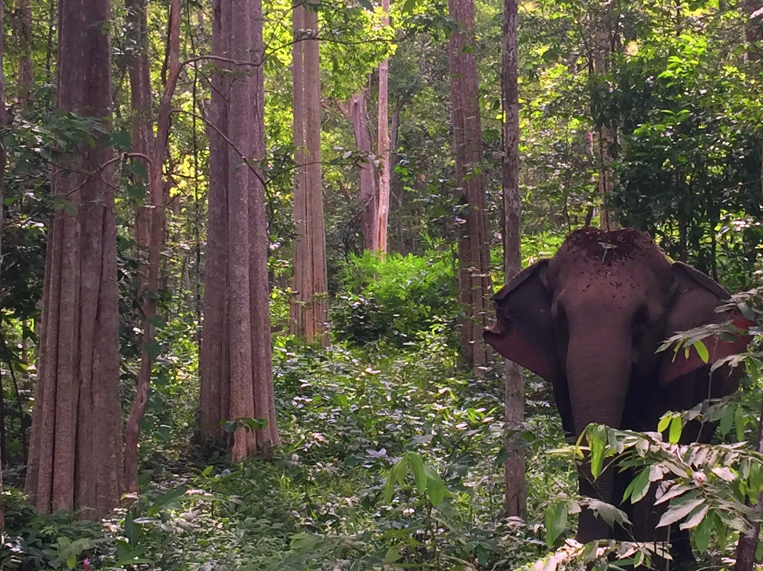 Mondulkiri Tour Guide景点图片