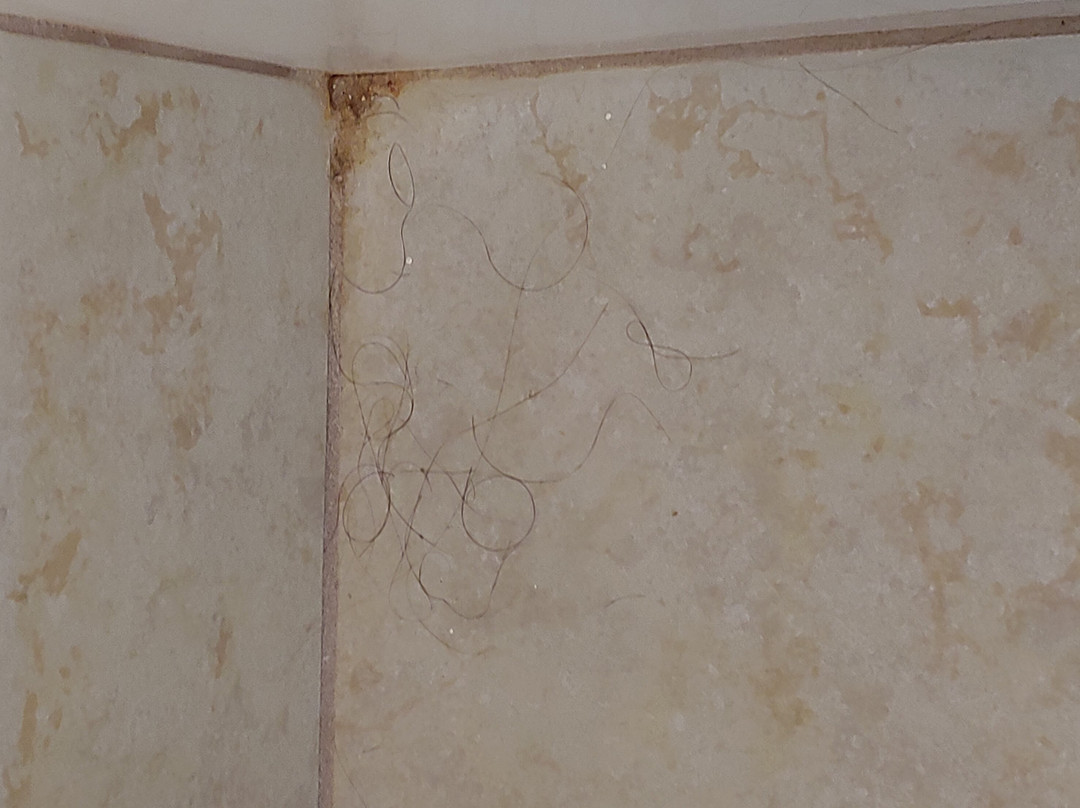 林肯烛木套房酒店主图