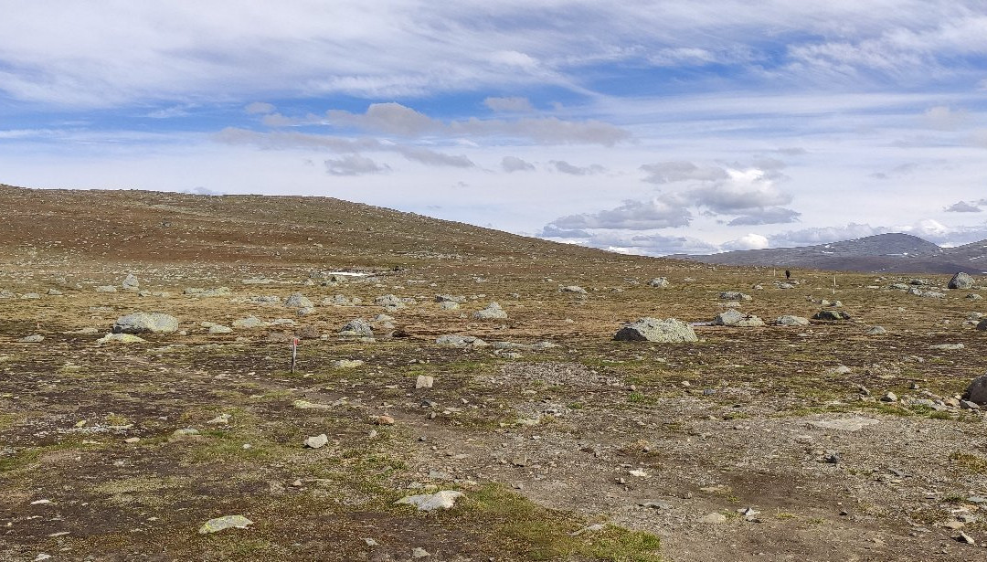 Nasjonale Turistveger Valdresflye-Beitostolen必去景点