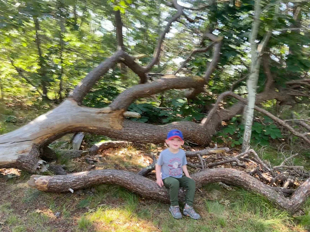 Ellisville Harbor State Park-普利茅斯必去景点
