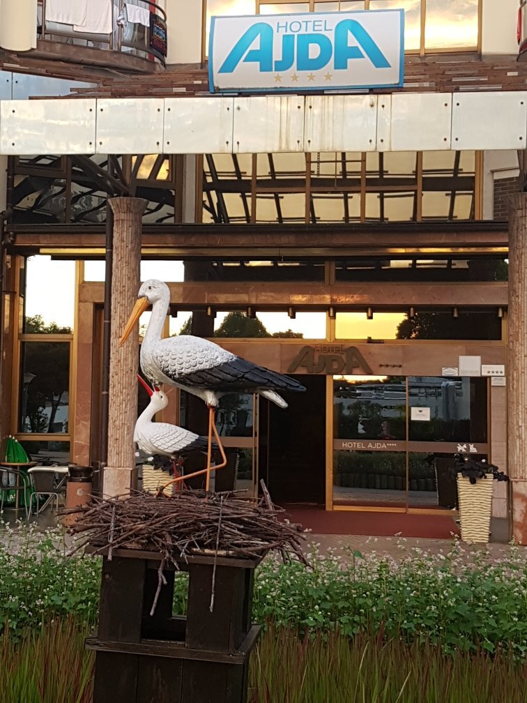 Hotel Ajda-官方