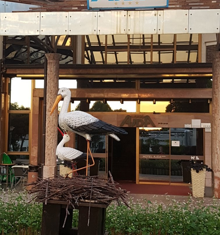 Hotel Ajda主图