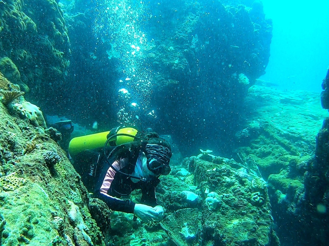 Scuba Safaris Trincomalee-Trincomalee必去景点