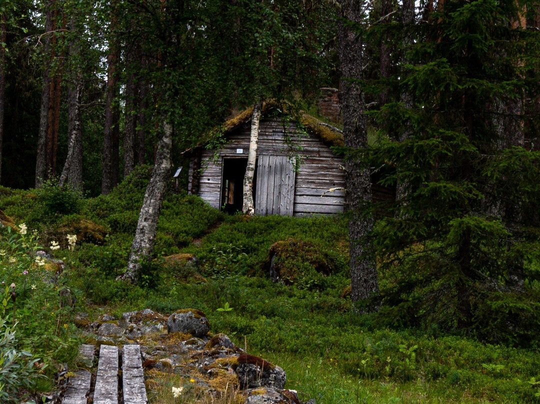 Torvsjö Kvarnar-Asele必去景点