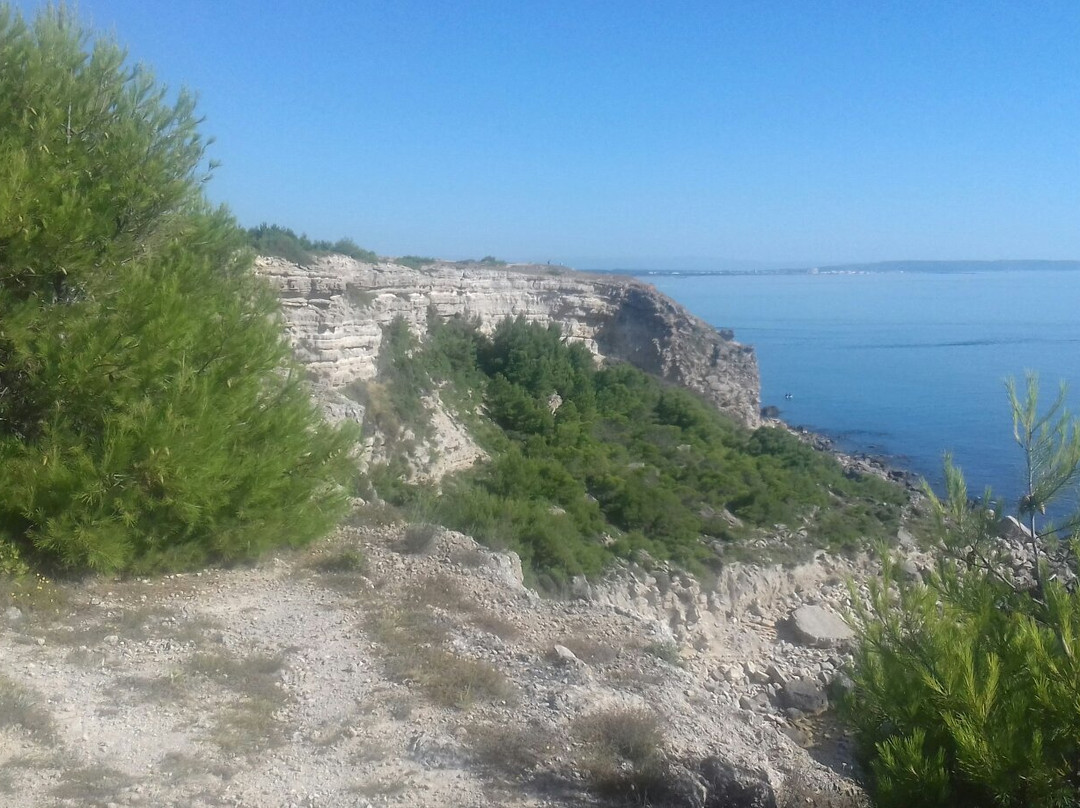 Phare du Cap Leucate-Leucate必去景点