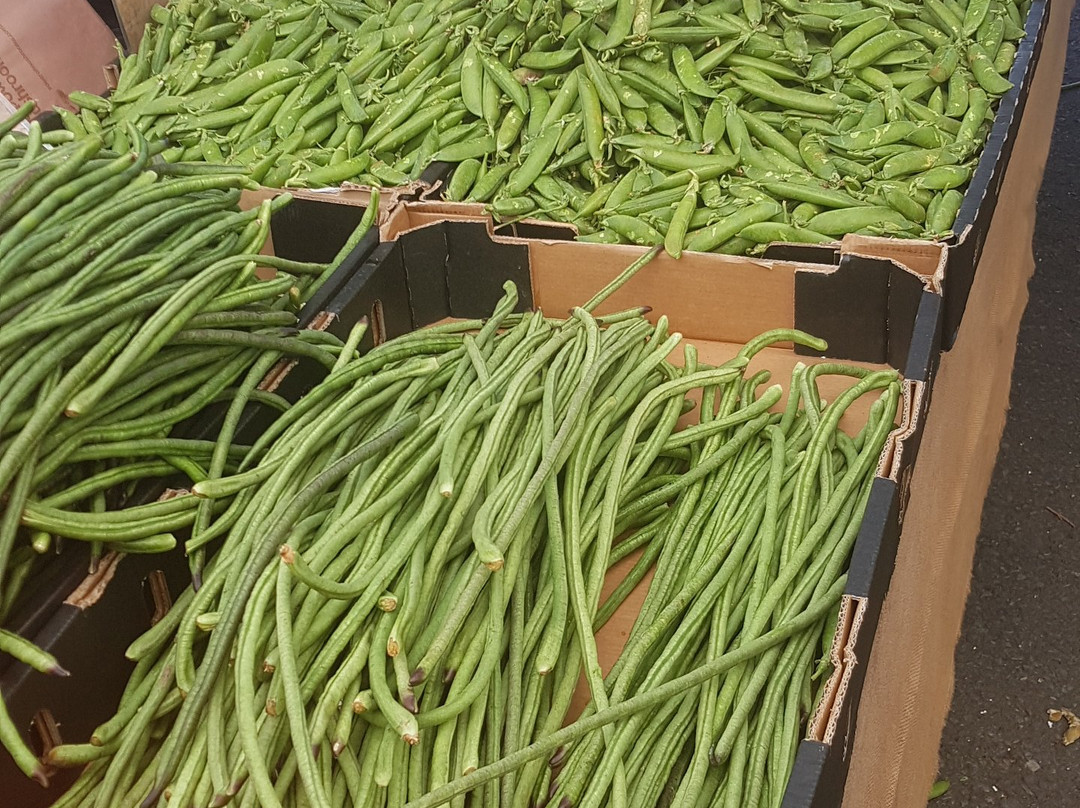 The Carseldine Farmers & Artisan Markets景点图片