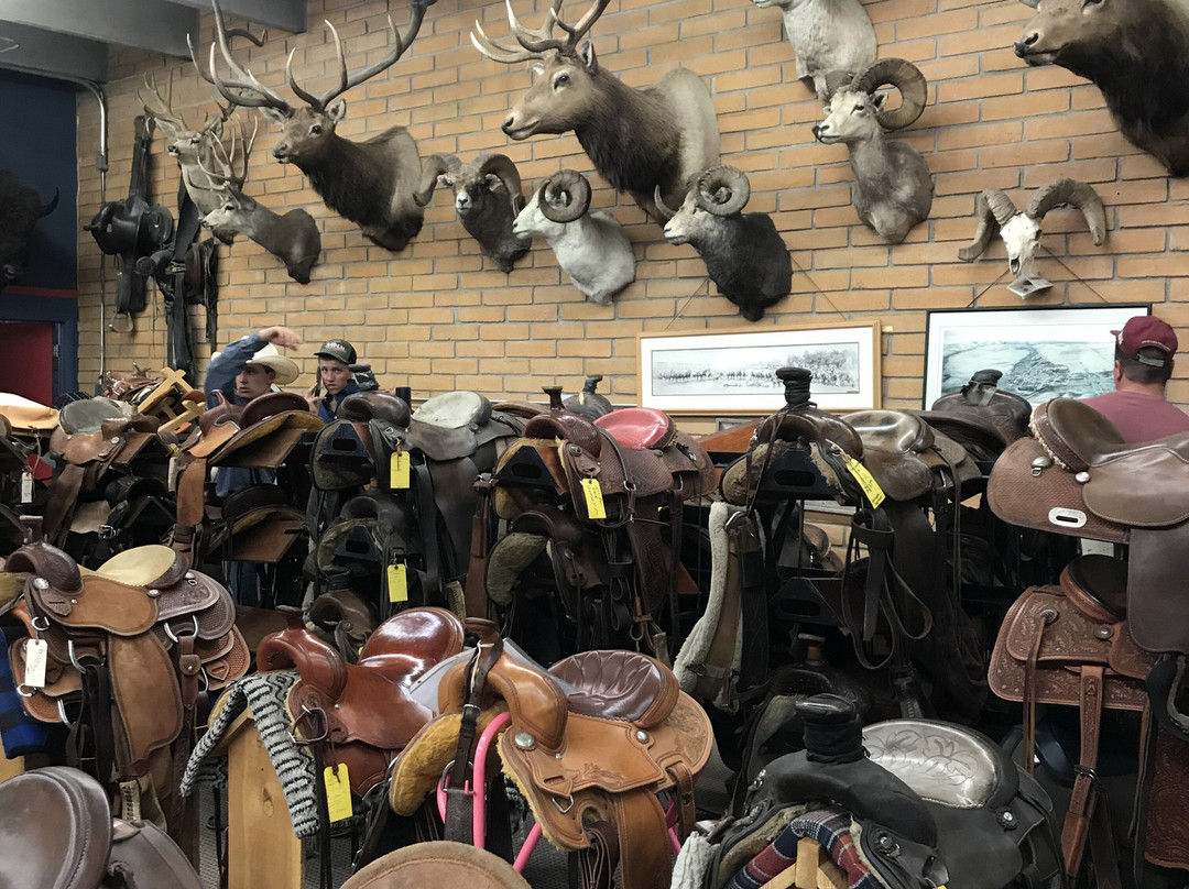 King's Saddlery and Museum-谢里登必去景点