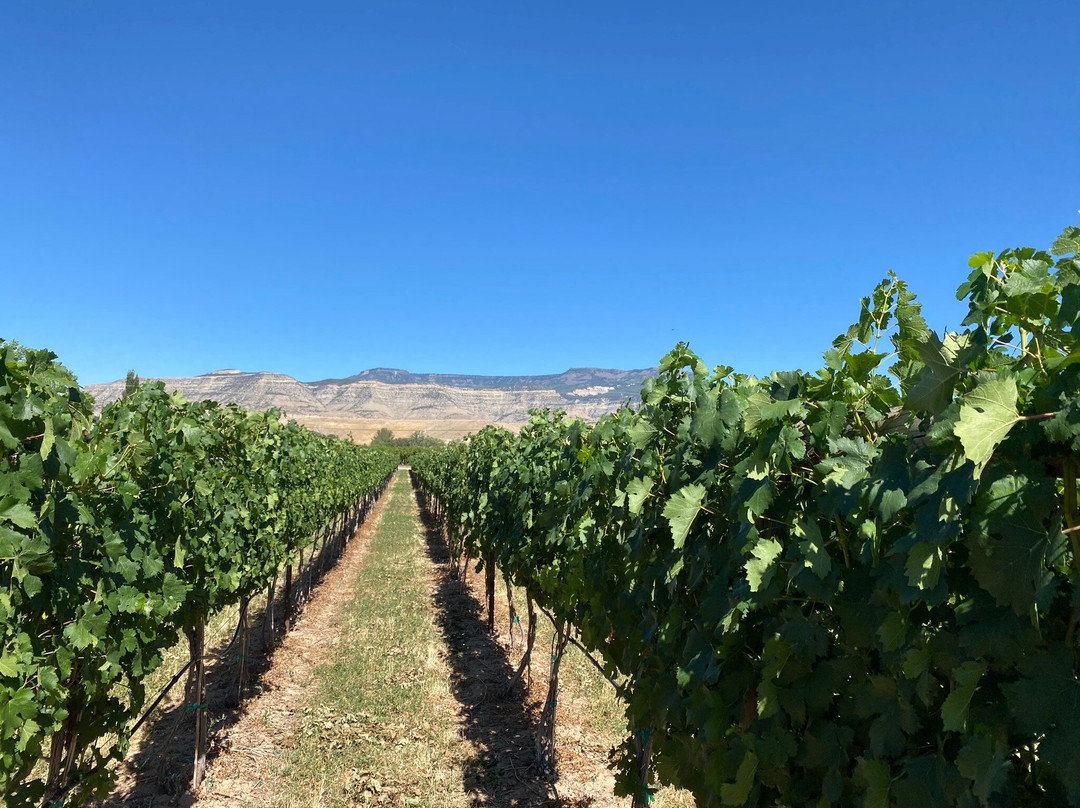 Restoration Vineyards-Palisade必去景点