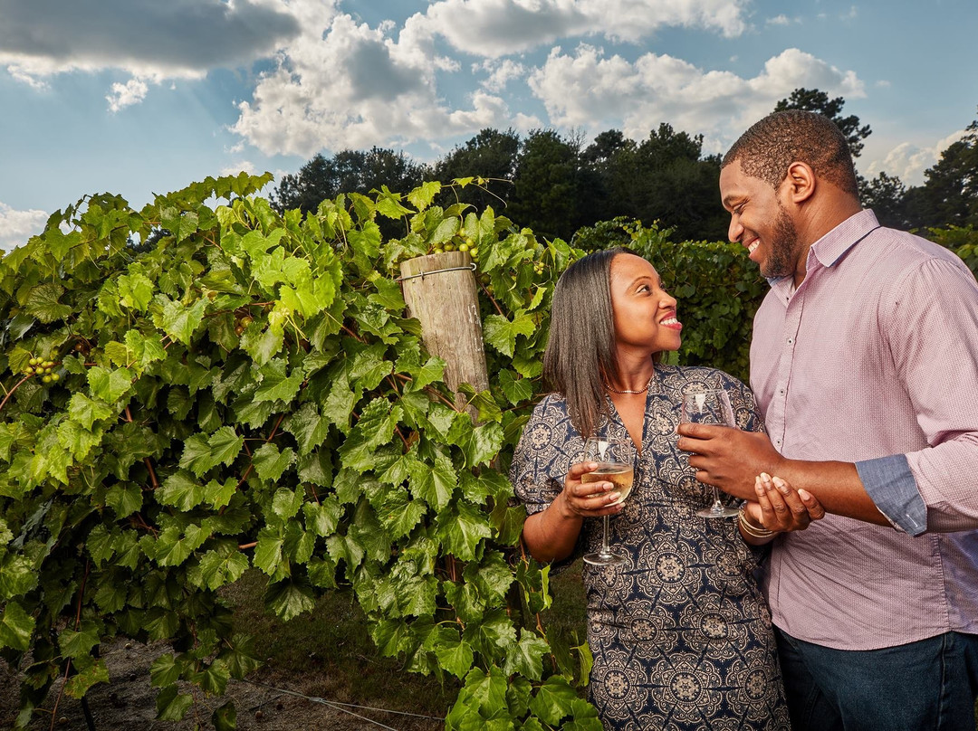 Wolf Creek Plantation Winery-Americus必去景点
