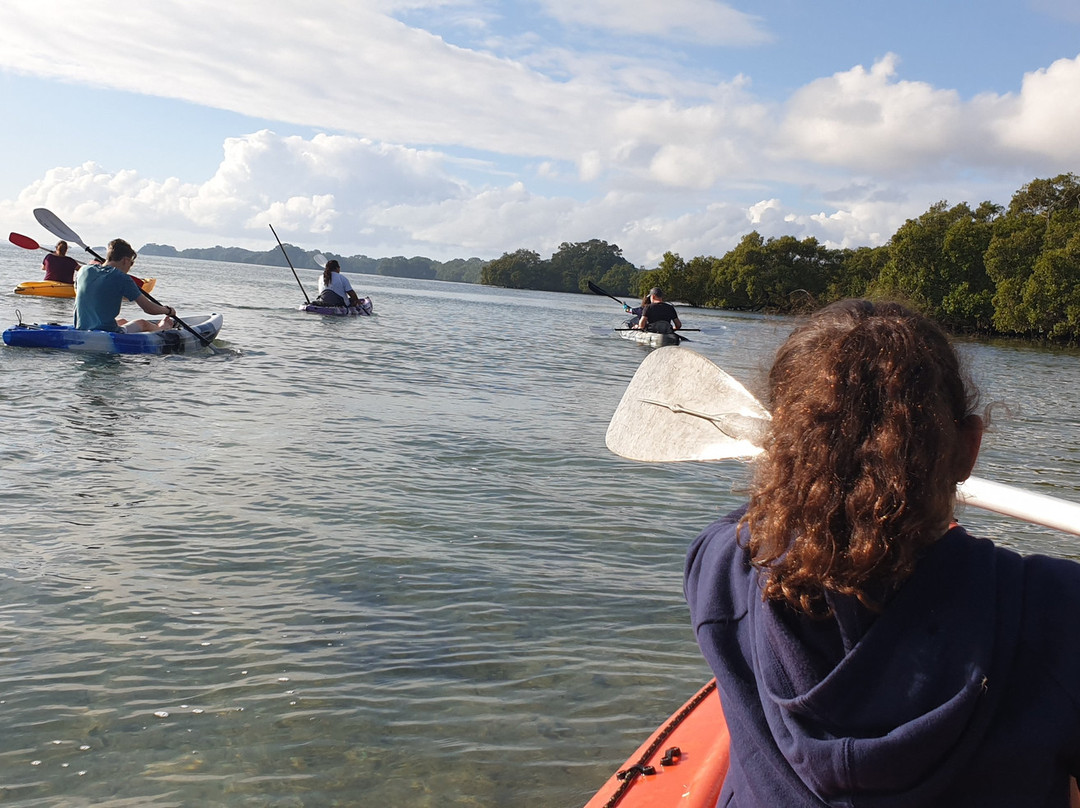 Straddie Adventures-North Stradbroke Island必去景点