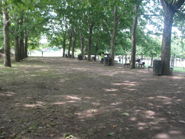 Parque da Cidade de Paredes景点图片