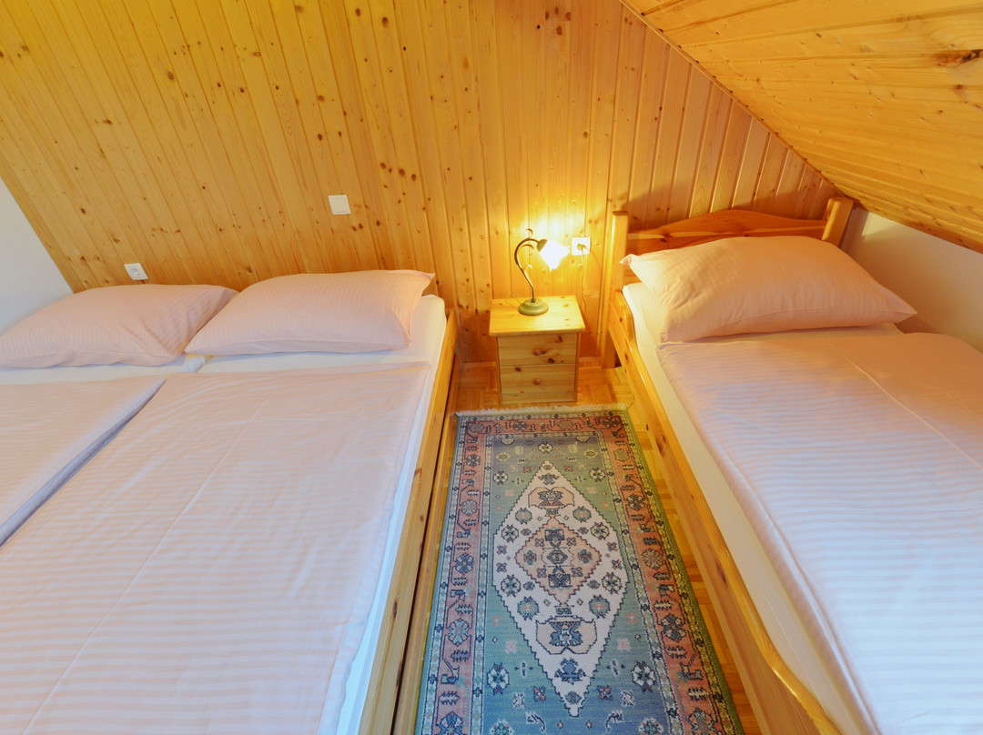 Apartments Rooms Kocijancic主图