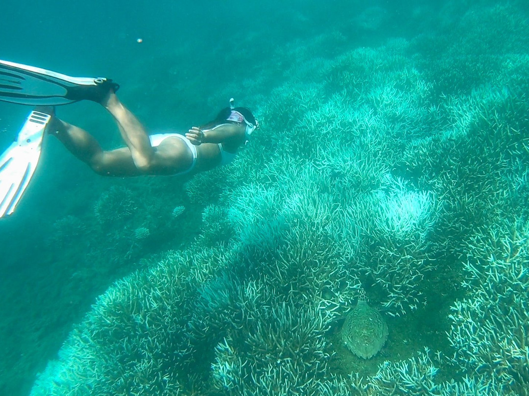 Trinco Water Sport Tours-Trincomalee必去景点