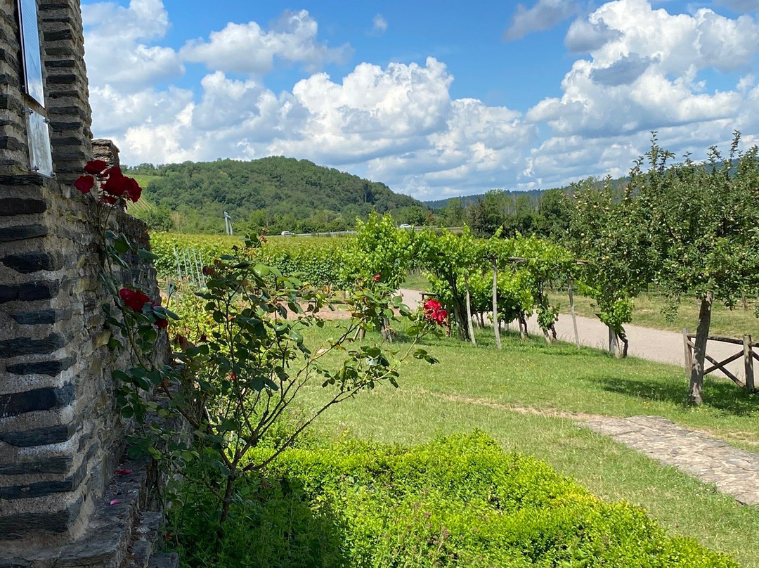 Romische Villa Urbana-Longuich必去景点