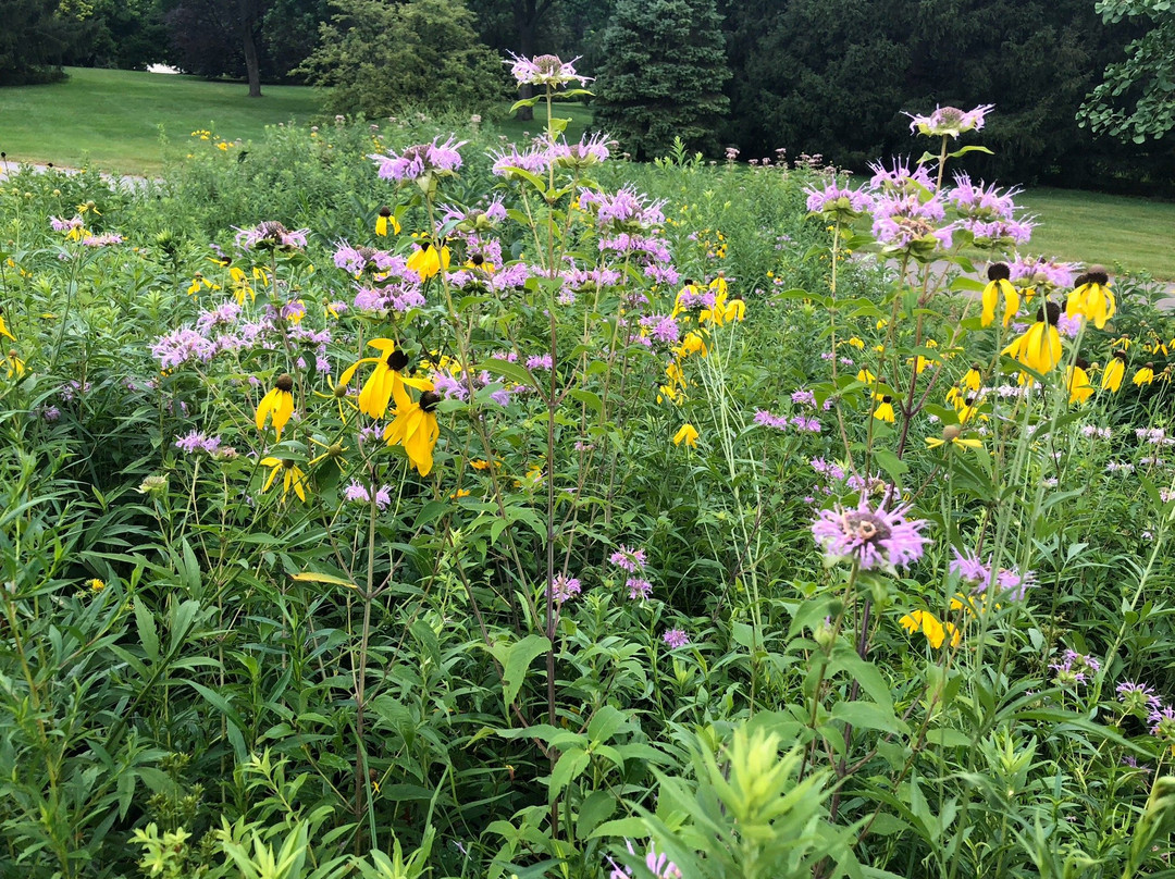 Cantigny-Wheaton必去景点