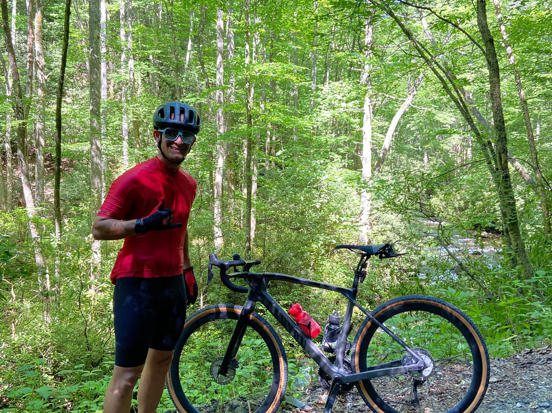 Pisgah National Forest景点图片