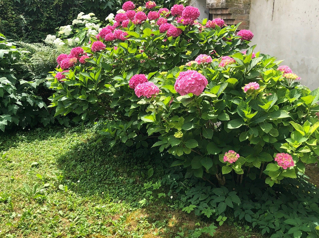 Giardino Storico E Labirinto Di Rose Damascene景点图片