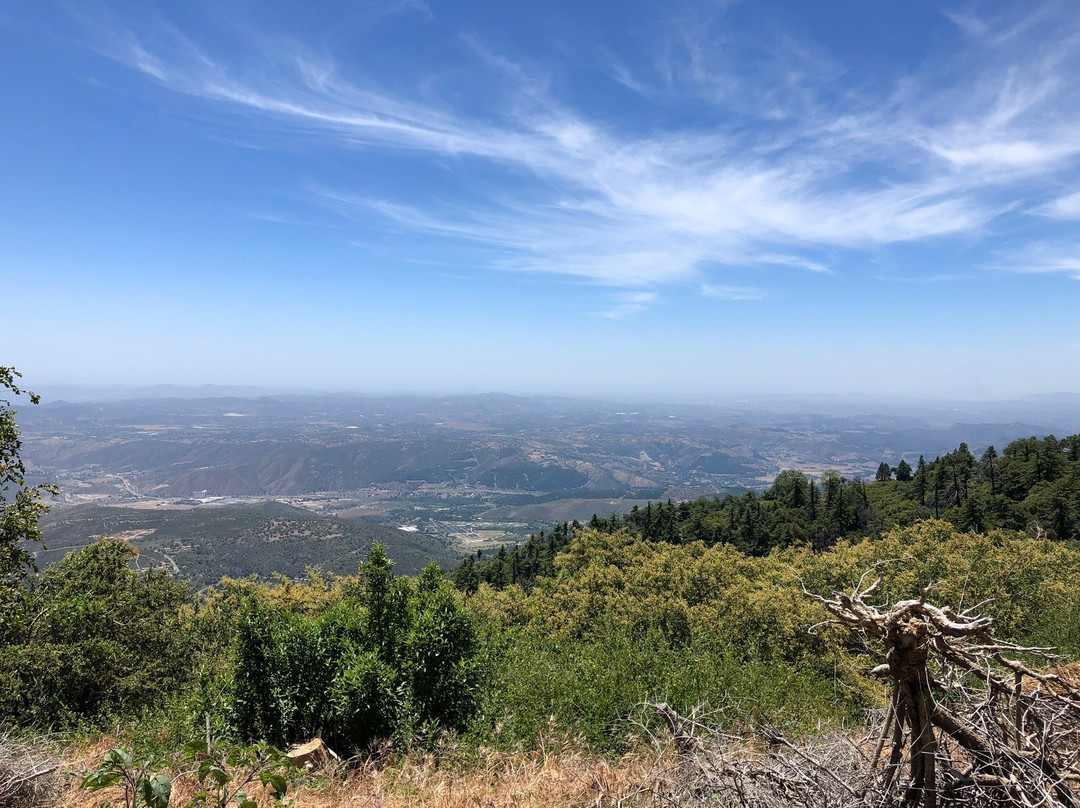 Palomar Mountain State Park景点图片