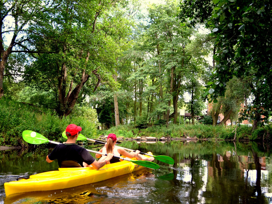 Kajakiem Po Wełnie-Potrzanowo必去景点